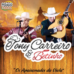 A Coisa Tá Feia / Pagode do Ala / Azulão do Reino Encantado