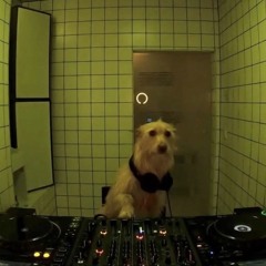 Damo, Don't Quit Your Day Job Vol. 1