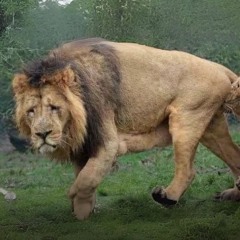 i feel like *removed fx*