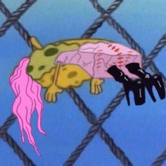 Picture Perfect Love