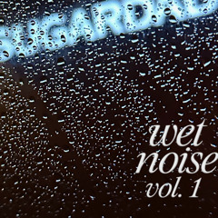 wet noise vol. 1