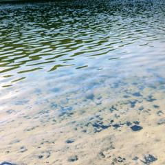 Rock DnB [FREE COMMERCIAL USE][DOWNLOAD]