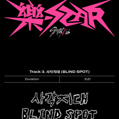 사각지대 BLIND SPOT Stray Kids Concert