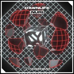 Dawnlife - Nuri