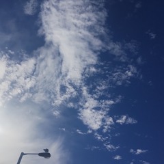 Skybound