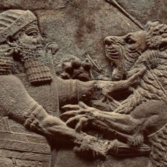 اغاني مصريه داشره - مطلوبه اكثر شي 2019