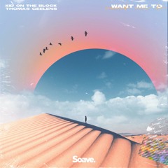 Kid On The Block & Thomas Geelens - Want Me To