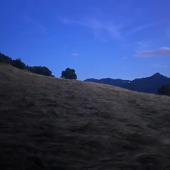 lately, I only make pasta...