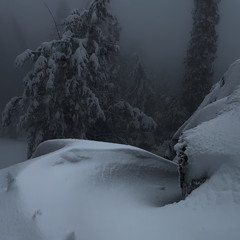 i love you-amanda allen (billie eilish cover)