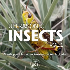 Ultrasonic Insects VOL 1 - SOUND LIBRARY DEMO