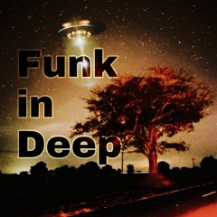 Funk in Deep - Newton B