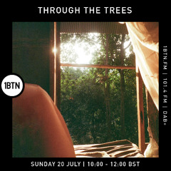 Through The Trees - 20.07.25