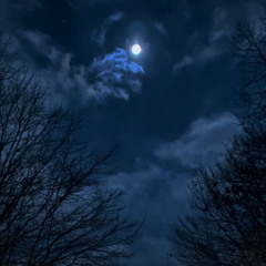 Fly in the night (Feat. 기욱(GIUK))