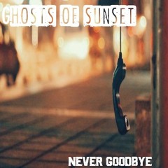 NEVER GOODBYE