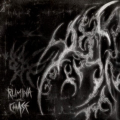 Premiere: Rumina - Bodies and Rivers (Precious Metals)