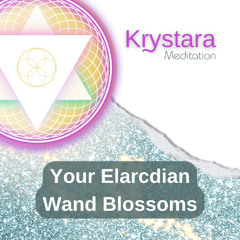 Your Elarcdian Wand Blossoms | Quantum Voyage