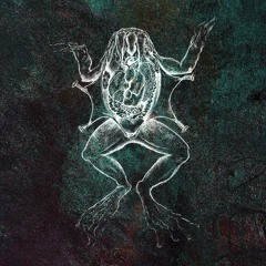 [DISSECTION024] w/ SORAYA