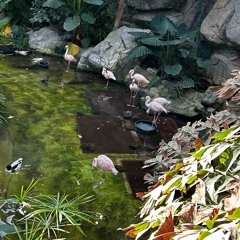 my bad I guess (TjayT)