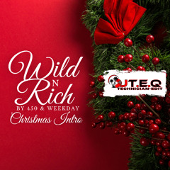 Wild n' Rich (DJTEQ Christmas Intro)