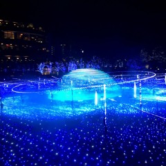 The Leaves Were Streamed - #2945 By Chair House 01062022