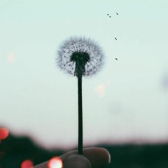 Ai Kalica Feat Dimi (prod Beats By Mut)