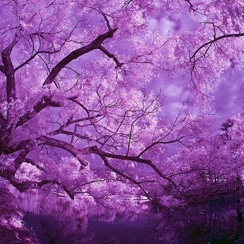 Moon pt 1🌙#LLL #FREEJR (Og*Verson)