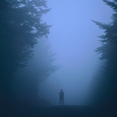 before the lights went out