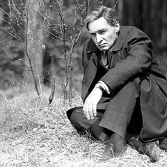 где-то далеко (семнадцать мгновений весны)