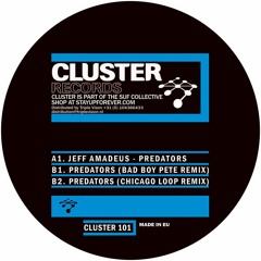 cluster101