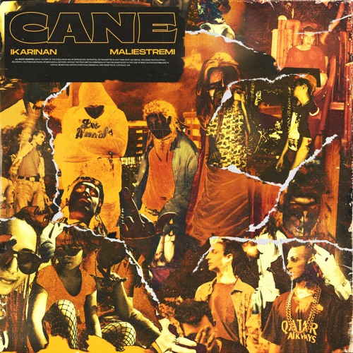 Cane feat. MALIESTREMI (prod. ikarinan)