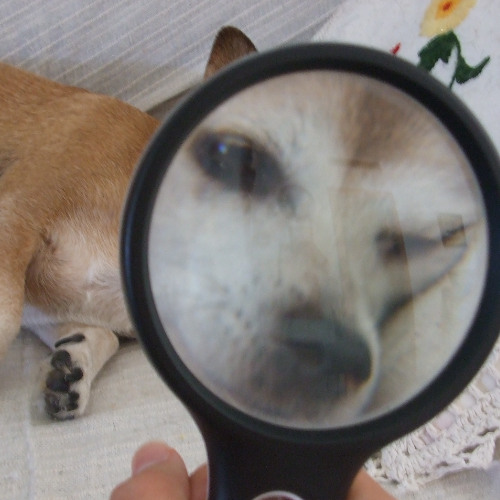 If 3AM ACNH was another kind of dumb