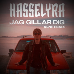Hasselyra - Jag gillar dig (KLNH Remix)