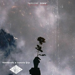 upside down (bloodhawk x rexiety flip)