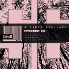 Salsonik - Ricardo Molinari (Abadesa Melodic Remix)