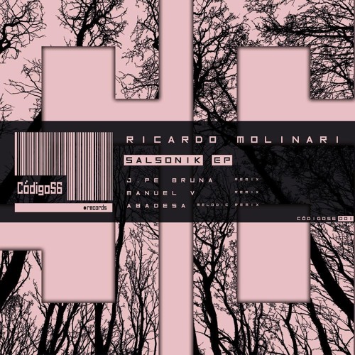 Salsonik - Ricardo Molinari (Abadesa Melodic Remix)