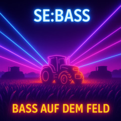Bass auf dem Feld