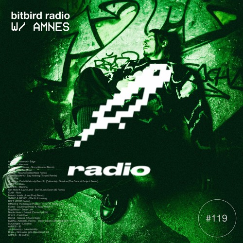Stream AMNES Presents: bitbird radio #119 by bitbird radio | Listen ...