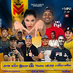 MC MARCELLY E MC PQD AO VIVO NO BAILE DA SUÉCIA 2020  07 DE  MARÇO