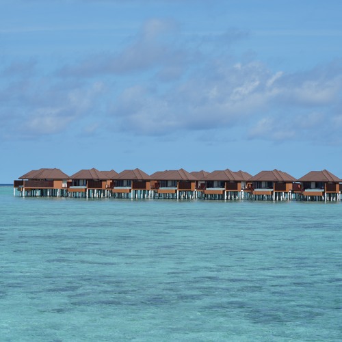 La Bohème (Archraf Kallel) - Version sax SEBSAX®