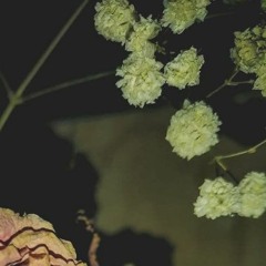 однажды я проснусь от того, что мне никуда не надо идти (фрэнк cover)