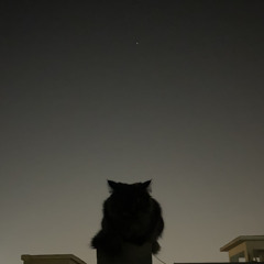 Umme Laila Baato Baato mein Koi from Tan Man Neel O Neel .mp3