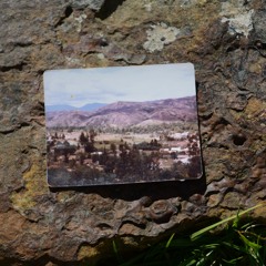 FRAGMENTOS ENTREVISTAS (registros)