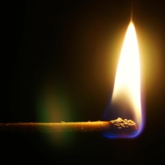 BURN IT DOWN (The Poet Of Impulse)