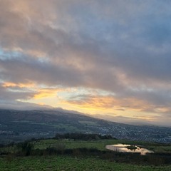 The Council Project  -  Reflections