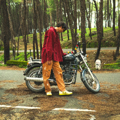 i lost my passport in Mumbai