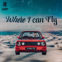 Where I Can Fly (intro Point Of View) - Domus D
