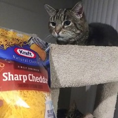 Puppy Songs - Cheese Tax (Patty Cheeze Remix)
