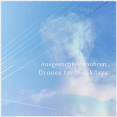 Drones for Weekdays