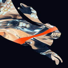 PREMIERE: Alienationist - Dusche