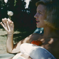 the dream of sylvia plath